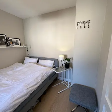 Altes Stadthaus Mit Garten Und Gewoelbekeller Casa vacanze